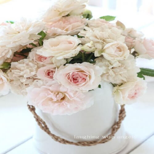 powdery flower