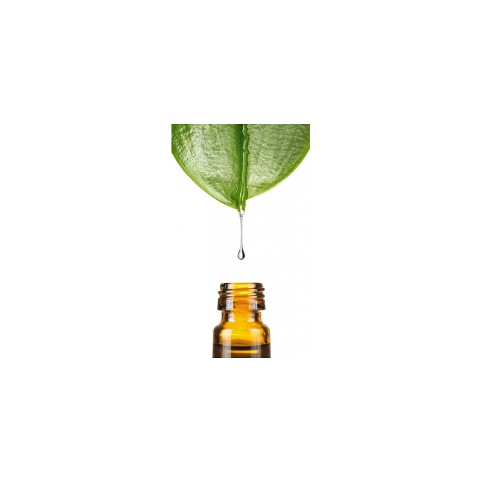 sirovinegeogard-221-dehydroacetic-acid-and-benzyl-alcohol-and-water