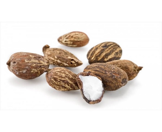 shea butter rafinisani