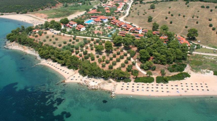 blue_dolphin_sitonija