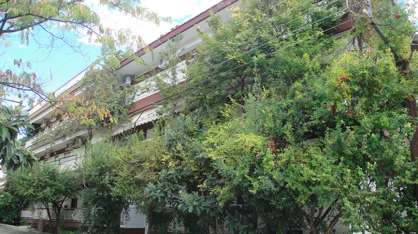 rubicon-grcka-metamorfozis-kuca-reveka