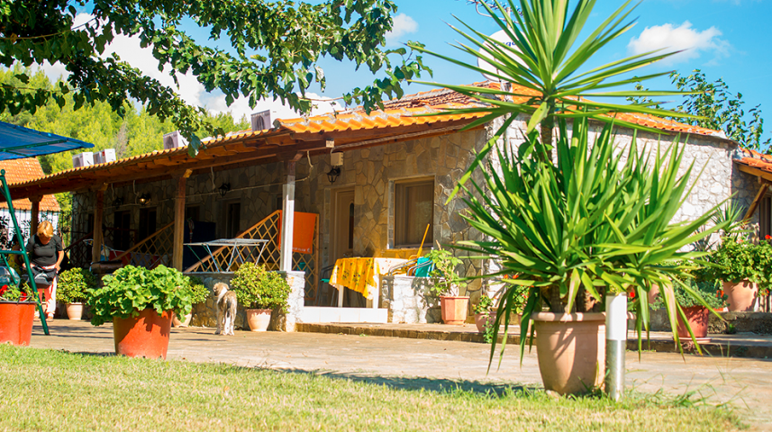 rubicon-grcka-toroni-flower-bungalovi