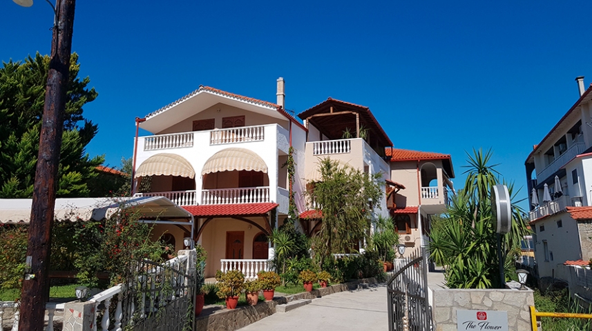 rubicon-grcka-toroni-flower